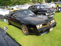 Pontiac Firebird Trans Am Black Special Edition T-Roof Targa 2-door (2 generation) 6.6 MT (223 HP) photo, Pontiac Firebird Trans Am Black Special Edition T-Roof Targa 2-door (2 generation) 6.6 MT (223 HP) photos, Pontiac Firebird Trans Am Black Special Edition T-Roof Targa 2-door (2 generation) 6.6 MT (223 HP) picture, Pontiac Firebird Trans Am Black Special Edition T-Roof Targa 2-door (2 generation) 6.6 MT (223 HP) pictures, Pontiac photos, Pontiac pictures, image Pontiac, Pontiac images