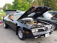 Pontiac Firebird Trans Am Black Special Edition T-Roof Targa 2-door (2 generation) 6.6 MT (223 HP) photo, Pontiac Firebird Trans Am Black Special Edition T-Roof Targa 2-door (2 generation) 6.6 MT (223 HP) photos, Pontiac Firebird Trans Am Black Special Edition T-Roof Targa 2-door (2 generation) 6.6 MT (223 HP) picture, Pontiac Firebird Trans Am Black Special Edition T-Roof Targa 2-door (2 generation) 6.6 MT (223 HP) pictures, Pontiac photos, Pontiac pictures, image Pontiac, Pontiac images