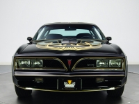 Pontiac Firebird Trans Am Black Special Edition T-Roof Targa 2-door (2 generation) 6.6 MT (223 HP) photo, Pontiac Firebird Trans Am Black Special Edition T-Roof Targa 2-door (2 generation) 6.6 MT (223 HP) photos, Pontiac Firebird Trans Am Black Special Edition T-Roof Targa 2-door (2 generation) 6.6 MT (223 HP) picture, Pontiac Firebird Trans Am Black Special Edition T-Roof Targa 2-door (2 generation) 6.6 MT (223 HP) pictures, Pontiac photos, Pontiac pictures, image Pontiac, Pontiac images