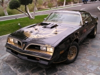 Pontiac Firebird Trans Am Black Special Edition T-Roof Targa 2-door (2 generation) 6.6 MT (223 HP) photo, Pontiac Firebird Trans Am Black Special Edition T-Roof Targa 2-door (2 generation) 6.6 MT (223 HP) photos, Pontiac Firebird Trans Am Black Special Edition T-Roof Targa 2-door (2 generation) 6.6 MT (223 HP) picture, Pontiac Firebird Trans Am Black Special Edition T-Roof Targa 2-door (2 generation) 6.6 MT (223 HP) pictures, Pontiac photos, Pontiac pictures, image Pontiac, Pontiac images