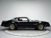 Pontiac Firebird Trans Am Black Special Edition T-Roof Targa 2-door (2 generation) AT 6.6 (223 HP) photo, Pontiac Firebird Trans Am Black Special Edition T-Roof Targa 2-door (2 generation) AT 6.6 (223 HP) photos, Pontiac Firebird Trans Am Black Special Edition T-Roof Targa 2-door (2 generation) AT 6.6 (223 HP) picture, Pontiac Firebird Trans Am Black Special Edition T-Roof Targa 2-door (2 generation) AT 6.6 (223 HP) pictures, Pontiac photos, Pontiac pictures, image Pontiac, Pontiac images