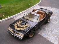 Pontiac Firebird Trans Am Black Special Edition T-Roof Targa 2-door (2 generation) AT 6.6 (223 HP) photo, Pontiac Firebird Trans Am Black Special Edition T-Roof Targa 2-door (2 generation) AT 6.6 (223 HP) photos, Pontiac Firebird Trans Am Black Special Edition T-Roof Targa 2-door (2 generation) AT 6.6 (223 HP) picture, Pontiac Firebird Trans Am Black Special Edition T-Roof Targa 2-door (2 generation) AT 6.6 (223 HP) pictures, Pontiac photos, Pontiac pictures, image Pontiac, Pontiac images