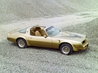 Pontiac Firebird Trans Am Gold Special Edition T-Roof Targa 2-door (2 generation) AT 6.6 (188 HP) photo, Pontiac Firebird Trans Am Gold Special Edition T-Roof Targa 2-door (2 generation) AT 6.6 (188 HP) photos, Pontiac Firebird Trans Am Gold Special Edition T-Roof Targa 2-door (2 generation) AT 6.6 (188 HP) picture, Pontiac Firebird Trans Am Gold Special Edition T-Roof Targa 2-door (2 generation) AT 6.6 (188 HP) pictures, Pontiac photos, Pontiac pictures, image Pontiac, Pontiac images