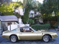 Pontiac Firebird Trans Am Gold Special Edition T-Roof Targa 2-door (2 generation) AT 6.6 (188 HP) photo, Pontiac Firebird Trans Am Gold Special Edition T-Roof Targa 2-door (2 generation) AT 6.6 (188 HP) photos, Pontiac Firebird Trans Am Gold Special Edition T-Roof Targa 2-door (2 generation) AT 6.6 (188 HP) picture, Pontiac Firebird Trans Am Gold Special Edition T-Roof Targa 2-door (2 generation) AT 6.6 (188 HP) pictures, Pontiac photos, Pontiac pictures, image Pontiac, Pontiac images