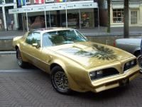 Pontiac Firebird Trans Am Gold Special Edition T-Roof Targa 2-door (2 generation) AT 6.6 (188 HP) photo, Pontiac Firebird Trans Am Gold Special Edition T-Roof Targa 2-door (2 generation) AT 6.6 (188 HP) photos, Pontiac Firebird Trans Am Gold Special Edition T-Roof Targa 2-door (2 generation) AT 6.6 (188 HP) picture, Pontiac Firebird Trans Am Gold Special Edition T-Roof Targa 2-door (2 generation) AT 6.6 (188 HP) pictures, Pontiac photos, Pontiac pictures, image Pontiac, Pontiac images