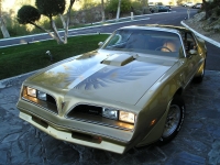 Pontiac Firebird Trans Am Gold Special Edition T-Roof Targa 2-door (2 generation) AT 6.6 (223 HP) photo, Pontiac Firebird Trans Am Gold Special Edition T-Roof Targa 2-door (2 generation) AT 6.6 (223 HP) photos, Pontiac Firebird Trans Am Gold Special Edition T-Roof Targa 2-door (2 generation) AT 6.6 (223 HP) picture, Pontiac Firebird Trans Am Gold Special Edition T-Roof Targa 2-door (2 generation) AT 6.6 (223 HP) pictures, Pontiac photos, Pontiac pictures, image Pontiac, Pontiac images