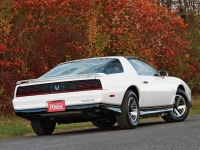 Pontiac Firebird Trans Am T-Roof Targa 2-door (3 generation) 5.0 AT photo, Pontiac Firebird Trans Am T-Roof Targa 2-door (3 generation) 5.0 AT photos, Pontiac Firebird Trans Am T-Roof Targa 2-door (3 generation) 5.0 AT picture, Pontiac Firebird Trans Am T-Roof Targa 2-door (3 generation) 5.0 AT pictures, Pontiac photos, Pontiac pictures, image Pontiac, Pontiac images