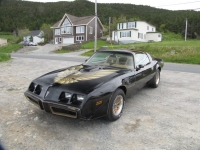 Pontiac Firebird Trans Am T-Targa Roof (2 generation) 4.9 Turbo MT (210hp) photo, Pontiac Firebird Trans Am T-Targa Roof (2 generation) 4.9 Turbo MT (210hp) photos, Pontiac Firebird Trans Am T-Targa Roof (2 generation) 4.9 Turbo MT (210hp) picture, Pontiac Firebird Trans Am T-Targa Roof (2 generation) 4.9 Turbo MT (210hp) pictures, Pontiac photos, Pontiac pictures, image Pontiac, Pontiac images