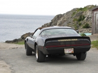 Pontiac Firebird Trans Am T-Targa Roof (2 generation) AT 6.6 (188hp) photo, Pontiac Firebird Trans Am T-Targa Roof (2 generation) AT 6.6 (188hp) photos, Pontiac Firebird Trans Am T-Targa Roof (2 generation) AT 6.6 (188hp) picture, Pontiac Firebird Trans Am T-Targa Roof (2 generation) AT 6.6 (188hp) pictures, Pontiac photos, Pontiac pictures, image Pontiac, Pontiac images