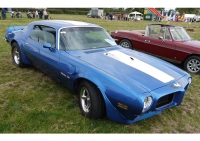 Pontiac Firebird Trans Am with 2-door (2 generation) 6.6 Hurst Shifter MT (345hp) photo, Pontiac Firebird Trans Am with 2-door (2 generation) 6.6 Hurst Shifter MT (345hp) photos, Pontiac Firebird Trans Am with 2-door (2 generation) 6.6 Hurst Shifter MT (345hp) picture, Pontiac Firebird Trans Am with 2-door (2 generation) 6.6 Hurst Shifter MT (345hp) pictures, Pontiac photos, Pontiac pictures, image Pontiac, Pontiac images