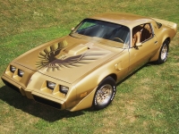 Pontiac Firebird Trans Am with 2-door (2 generation) 6.6 MT (223 HP) photo, Pontiac Firebird Trans Am with 2-door (2 generation) 6.6 MT (223 HP) photos, Pontiac Firebird Trans Am with 2-door (2 generation) 6.6 MT (223 HP) picture, Pontiac Firebird Trans Am with 2-door (2 generation) 6.6 MT (223 HP) pictures, Pontiac photos, Pontiac pictures, image Pontiac, Pontiac images