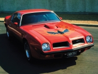 car Pontiac, car Pontiac Firebird Trans Am with 2-door (2 generation) 7.5 Hydra-Matic (250hp), Pontiac car, Pontiac Firebird Trans Am with 2-door (2 generation) 7.5 Hydra-Matic (250hp) car, cars Pontiac, Pontiac cars, cars Pontiac Firebird Trans Am with 2-door (2 generation) 7.5 Hydra-Matic (250hp), Pontiac Firebird Trans Am with 2-door (2 generation) 7.5 Hydra-Matic (250hp) specifications, Pontiac Firebird Trans Am with 2-door (2 generation) 7.5 Hydra-Matic (250hp), Pontiac Firebird Trans Am with 2-door (2 generation) 7.5 Hydra-Matic (250hp) cars, Pontiac Firebird Trans Am with 2-door (2 generation) 7.5 Hydra-Matic (250hp) specification