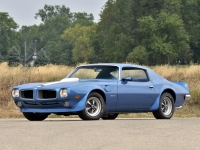 Pontiac Firebird Trans Am with 2-door (2 generation) 7.5 Hydra-Matic (300hp) photo, Pontiac Firebird Trans Am with 2-door (2 generation) 7.5 Hydra-Matic (300hp) photos, Pontiac Firebird Trans Am with 2-door (2 generation) 7.5 Hydra-Matic (300hp) picture, Pontiac Firebird Trans Am with 2-door (2 generation) 7.5 Hydra-Matic (300hp) pictures, Pontiac photos, Pontiac pictures, image Pontiac, Pontiac images