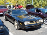 Pontiac Firebird Trans Am with 2-door (2 generation) AT 6.6 (223hp) photo, Pontiac Firebird Trans Am with 2-door (2 generation) AT 6.6 (223hp) photos, Pontiac Firebird Trans Am with 2-door (2 generation) AT 6.6 (223hp) picture, Pontiac Firebird Trans Am with 2-door (2 generation) AT 6.6 (223hp) pictures, Pontiac photos, Pontiac pictures, image Pontiac, Pontiac images