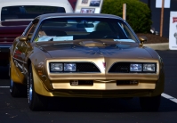 Pontiac Firebird Trans Am with 2-door (2 generation) AT 6.6 (223hp) photo, Pontiac Firebird Trans Am with 2-door (2 generation) AT 6.6 (223hp) photos, Pontiac Firebird Trans Am with 2-door (2 generation) AT 6.6 (223hp) picture, Pontiac Firebird Trans Am with 2-door (2 generation) AT 6.6 (223hp) pictures, Pontiac photos, Pontiac pictures, image Pontiac, Pontiac images