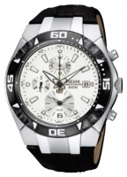 PULSAR PF8317X1 watch, watch PULSAR PF8317X1, PULSAR PF8317X1 price, PULSAR PF8317X1 specs, PULSAR PF8317X1 reviews, PULSAR PF8317X1 specifications, PULSAR PF8317X1