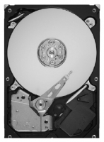 Seagate ST1000DL002 specifications, Seagate ST1000DL002, specifications Seagate ST1000DL002, Seagate ST1000DL002 specification, Seagate ST1000DL002 specs, Seagate ST1000DL002 review, Seagate ST1000DL002 reviews