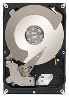 Seagate ST1000NC000 specifications, Seagate ST1000NC000, specifications Seagate ST1000NC000, Seagate ST1000NC000 specification, Seagate ST1000NC000 specs, Seagate ST1000NC000 review, Seagate ST1000NC000 reviews