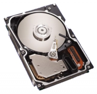 Seagate ST3146807FC specifications, Seagate ST3146807FC, specifications Seagate ST3146807FC, Seagate ST3146807FC specification, Seagate ST3146807FC specs, Seagate ST3146807FC review, Seagate ST3146807FC reviews