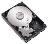Seagate ST3400633NS specifications, Seagate ST3400633NS, specifications Seagate ST3400633NS, Seagate ST3400633NS specification, Seagate ST3400633NS specs, Seagate ST3400633NS review, Seagate ST3400633NS reviews