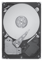 Seagate ST9300505SS specifications, Seagate ST9300505SS, specifications Seagate ST9300505SS, Seagate ST9300505SS specification, Seagate ST9300505SS specs, Seagate ST9300505SS review, Seagate ST9300505SS reviews