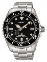 Seiko SBGA029G watch, watch Seiko SBGA029G, Seiko SBGA029G price, Seiko SBGA029G specs, Seiko SBGA029G reviews, Seiko SBGA029G specifications, Seiko SBGA029G