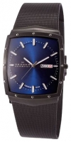 Skagen 396LTMN watch, watch Skagen 396LTMN, Skagen 396LTMN price, Skagen 396LTMN specs, Skagen 396LTMN reviews, Skagen 396LTMN specifications, Skagen 396LTMN