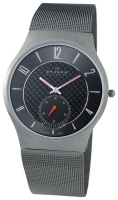 Skagen 805XLTTM watch, watch Skagen 805XLTTM, Skagen 805XLTTM price, Skagen 805XLTTM specs, Skagen 805XLTTM reviews, Skagen 805XLTTM specifications, Skagen 805XLTTM