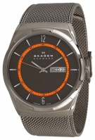 Skagen SKW6007 watch, watch Skagen SKW6007, Skagen SKW6007 price, Skagen SKW6007 specs, Skagen SKW6007 reviews, Skagen SKW6007 specifications, Skagen SKW6007