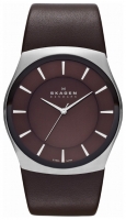 Skagen SKW6016 watch, watch Skagen SKW6016, Skagen SKW6016 price, Skagen SKW6016 specs, Skagen SKW6016 reviews, Skagen SKW6016 specifications, Skagen SKW6016