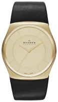 Skagen SKW6018 watch, watch Skagen SKW6018, Skagen SKW6018 price, Skagen SKW6018 specs, Skagen SKW6018 reviews, Skagen SKW6018 specifications, Skagen SKW6018