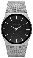 Skagen SKW6019 watch, watch Skagen SKW6019, Skagen SKW6019 price, Skagen SKW6019 specs, Skagen SKW6019 reviews, Skagen SKW6019 specifications, Skagen SKW6019