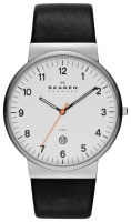 Skagen SKW6024 watch, watch Skagen SKW6024, Skagen SKW6024 price, Skagen SKW6024 specs, Skagen SKW6024 reviews, Skagen SKW6024 specifications, Skagen SKW6024