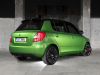 Skoda Fabia RS hatchback 5-door. (5J) 1.4 TSI DSG (180hp) basic photo, Skoda Fabia RS hatchback 5-door. (5J) 1.4 TSI DSG (180hp) basic photos, Skoda Fabia RS hatchback 5-door. (5J) 1.4 TSI DSG (180hp) basic picture, Skoda Fabia RS hatchback 5-door. (5J) 1.4 TSI DSG (180hp) basic pictures, Skoda photos, Skoda pictures, image Skoda, Skoda images