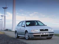 Skoda Octavia Liftback (1 generation) 1.6 MT (102 HP) photo, Skoda Octavia Liftback (1 generation) 1.6 MT (102 HP) photos, Skoda Octavia Liftback (1 generation) 1.6 MT (102 HP) picture, Skoda Octavia Liftback (1 generation) 1.6 MT (102 HP) pictures, Skoda photos, Skoda pictures, image Skoda, Skoda images