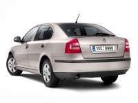 Skoda Octavia Liftback 5-door (2 generation) 1.4 MT (80 HP) photo, Skoda Octavia Liftback 5-door (2 generation) 1.4 MT (80 HP) photos, Skoda Octavia Liftback 5-door (2 generation) 1.4 MT (80 HP) picture, Skoda Octavia Liftback 5-door (2 generation) 1.4 MT (80 HP) pictures, Skoda photos, Skoda pictures, image Skoda, Skoda images