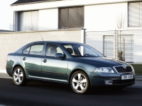 Skoda Octavia Liftback 5-door (2 generation) 1.4 MT (80 HP) photo, Skoda Octavia Liftback 5-door (2 generation) 1.4 MT (80 HP) photos, Skoda Octavia Liftback 5-door (2 generation) 1.4 MT (80 HP) picture, Skoda Octavia Liftback 5-door (2 generation) 1.4 MT (80 HP) pictures, Skoda photos, Skoda pictures, image Skoda, Skoda images