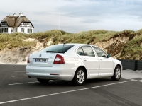 Skoda Octavia Liftback 5-door (2 generation) 1.4 TSI presented at Greentech MT (122 HP) photo, Skoda Octavia Liftback 5-door (2 generation) 1.4 TSI presented at Greentech MT (122 HP) photos, Skoda Octavia Liftback 5-door (2 generation) 1.4 TSI presented at Greentech MT (122 HP) picture, Skoda Octavia Liftback 5-door (2 generation) 1.4 TSI presented at Greentech MT (122 HP) pictures, Skoda photos, Skoda pictures, image Skoda, Skoda images