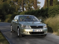 Skoda Octavia Liftback 5-door (2 generation) 1.6 MPI MT (102 HP), Elegance (CKD) photo, Skoda Octavia Liftback 5-door (2 generation) 1.6 MPI MT (102 HP), Elegance (CKD) photos, Skoda Octavia Liftback 5-door (2 generation) 1.6 MPI MT (102 HP), Elegance (CKD) picture, Skoda Octavia Liftback 5-door (2 generation) 1.6 MPI MT (102 HP), Elegance (CKD) pictures, Skoda photos, Skoda pictures, image Skoda, Skoda images