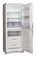 Snaige RF300-1101A freezer, Snaige RF300-1101A fridge, Snaige RF300-1101A refrigerator, Snaige RF300-1101A price, Snaige RF300-1101A specs, Snaige RF300-1101A reviews, Snaige RF300-1101A specifications, Snaige RF300-1101A
