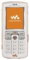 Sony Ericsson W800i mobile phone, Sony Ericsson W800i cell phone, Sony Ericsson W800i phone, Sony Ericsson W800i specs, Sony Ericsson W800i reviews, Sony Ericsson W800i specifications, Sony Ericsson W800i