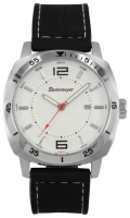 Steinmeyer's 501.13.33 watch, watch Steinmeyer's 501.13.33, Steinmeyer's 501.13.33 price, Steinmeyer's 501.13.33 specs, Steinmeyer's 501.13.33 reviews, Steinmeyer's 501.13.33 specifications, Steinmeyer's 501.13.33