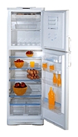 Stinol R 36 NF freezer, Stinol R 36 NF fridge, Stinol R 36 NF refrigerator, Stinol R 36 NF price, Stinol R 36 NF specs, Stinol R 36 NF reviews, Stinol R 36 NF specifications, Stinol R 36 NF