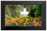 TeXet TF-317 digital photo frame, TeXet TF-317 digital picture frame, TeXet TF-317 photo frame, TeXet TF-317 picture frame, TeXet TF-317 specs, TeXet TF-317 reviews, TeXet TF-317 specifications, TeXet TF-317