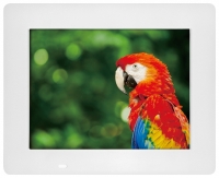 TeXet TF-811 digital photo frame, TeXet TF-811 digital picture frame, TeXet TF-811 photo frame, TeXet TF-811 picture frame, TeXet TF-811 specs, TeXet TF-811 reviews, TeXet TF-811 specifications, TeXet TF-811