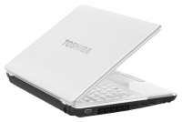 Toshiba PORTEGE M800-114 (Core 2 Duo P8400 2260 Mhz/13.3"/1280x800/4096Mb/320.0Gb/DVD-RW/Wi-Fi/Bluetooth/Win Vista Business) photo, Toshiba PORTEGE M800-114 (Core 2 Duo P8400 2260 Mhz/13.3"/1280x800/4096Mb/320.0Gb/DVD-RW/Wi-Fi/Bluetooth/Win Vista Business) photos, Toshiba PORTEGE M800-114 (Core 2 Duo P8400 2260 Mhz/13.3"/1280x800/4096Mb/320.0Gb/DVD-RW/Wi-Fi/Bluetooth/Win Vista Business) picture, Toshiba PORTEGE M800-114 (Core 2 Duo P8400 2260 Mhz/13.3"/1280x800/4096Mb/320.0Gb/DVD-RW/Wi-Fi/Bluetooth/Win Vista Business) pictures, Toshiba photos, Toshiba pictures, image Toshiba, Toshiba images