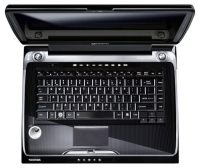 laptop Toshiba, notebook Toshiba QOSMIO F50-10B (Core 2 Duo P8400 2260 Mhz/15.4