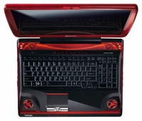 laptop Toshiba, notebook Toshiba QOSMIO X300-13Y (Core 2 Extreme X9100 3060 Mhz/17.0
