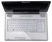 laptop Toshiba, notebook Toshiba SATELLITE L550-ST5707 (Core 2 Duo T6600 2200 Mhz/17.3