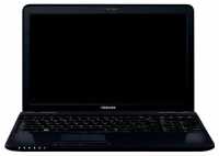 Toshiba SATELLITE L650D-12M (Athlon II P320  2100 Mhz/15.6"/1366x768/2048Mb/320 Gb/DVD-RW/Wi-Fi/Bluetooth/Win 7 HP) photo, Toshiba SATELLITE L650D-12M (Athlon II P320  2100 Mhz/15.6"/1366x768/2048Mb/320 Gb/DVD-RW/Wi-Fi/Bluetooth/Win 7 HP) photos, Toshiba SATELLITE L650D-12M (Athlon II P320  2100 Mhz/15.6"/1366x768/2048Mb/320 Gb/DVD-RW/Wi-Fi/Bluetooth/Win 7 HP) picture, Toshiba SATELLITE L650D-12M (Athlon II P320  2100 Mhz/15.6"/1366x768/2048Mb/320 Gb/DVD-RW/Wi-Fi/Bluetooth/Win 7 HP) pictures, Toshiba photos, Toshiba pictures, image Toshiba, Toshiba images